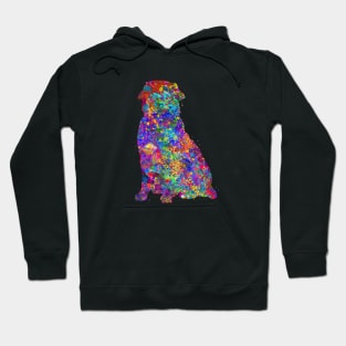 Golden Retriever dog watercolor Hoodie